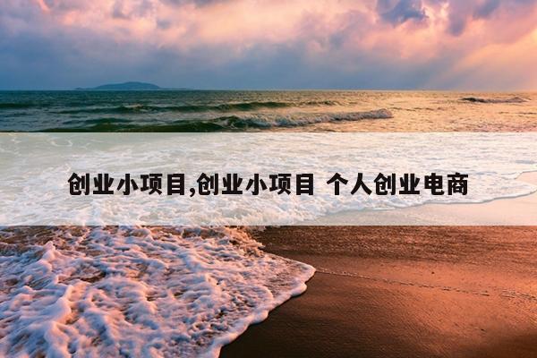创业小项目,创业小项目 个人创业电商