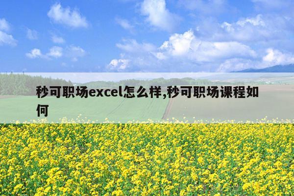 秒可职场excel怎么样,秒可职场课程如何