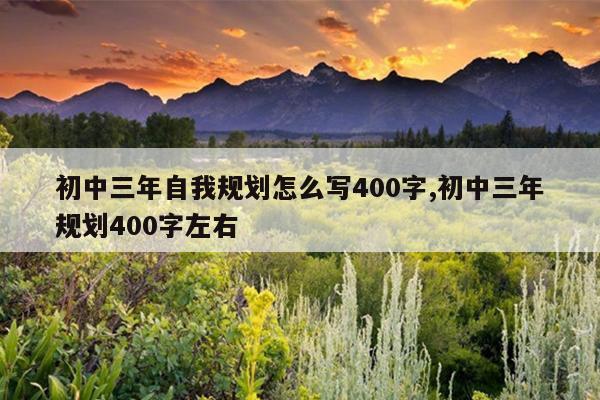 初中三年自我规划怎么写400字,初中三年规划400字左右