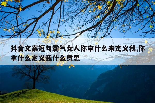 抖音文案短句霸气女人你拿什么来定义我,你拿什么定义我什么意思
