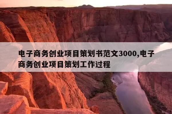电子商务创业项目策划书范文3000,电子商务创业项目策划工作过程