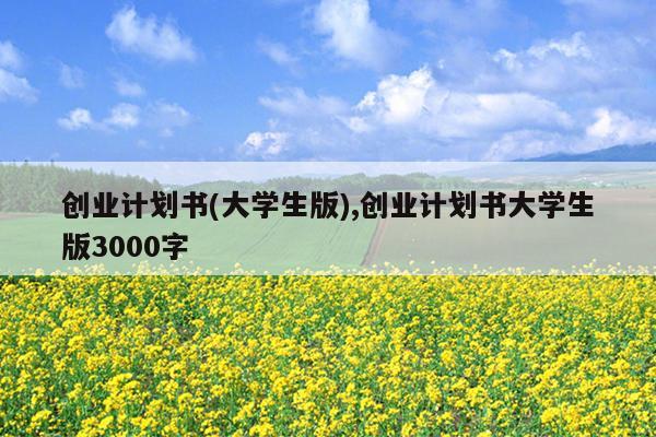 创业计划书(大学生版),创业计划书大学生版3000字