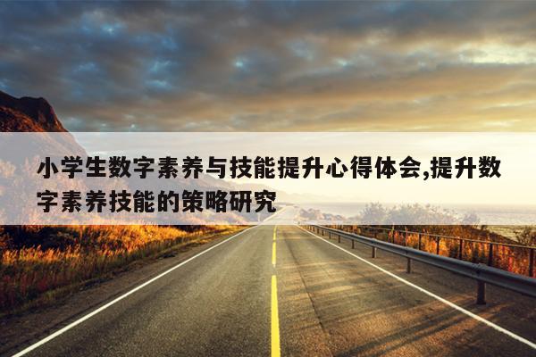 小学生数字素养与技能提升心得体会,提升数字素养技能的策略研究