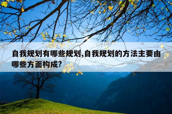 自我规划有哪些规划,自我规划的方法主要由哪些方面构成?
