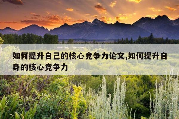 如何提升自己的核心竞争力论文,如何提升自身的核心竞争力