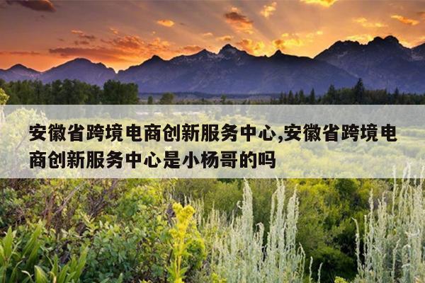 安徽省跨境电商创新服务中心,安徽省跨境电商创新服务中心是小杨哥的吗
