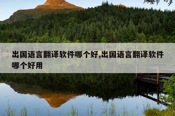 出国语言翻译软件哪个好,出国语言翻译软件哪个好用