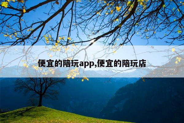 便宜的陪玩app,便宜的陪玩店