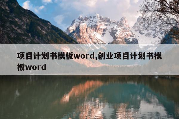 项目计划书模板word,创业项目计划书模板word