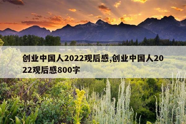 创业中国人2022观后感,创业中国人2022观后感800字