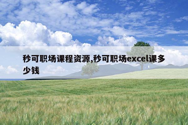 秒可职场课程资源,秒可职场excel课多少钱
