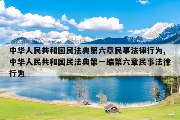中华人民共和国民法典第六章民事法律行为,中华人民共和国民法典第一编第六章民事法律行为