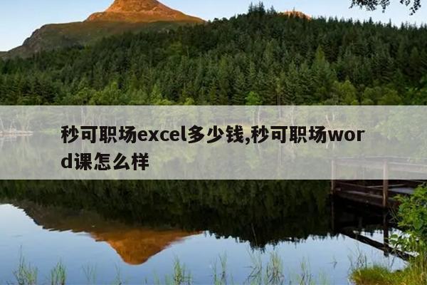 秒可职场excel多少钱,秒可职场word课怎么样