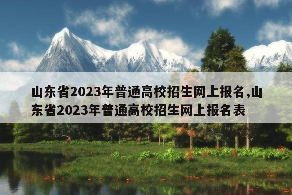 山东省2023年普通高校招生网上报名,山东省2023年普通高校招生网上报名表