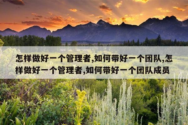 怎样做好一个管理者,如何带好一个团队,怎样做好一个管理者,如何带好一个团队成员