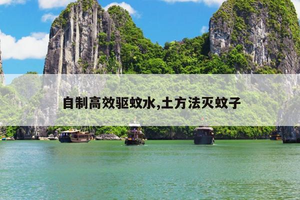 自制高效驱蚊水,土方法灭蚊子