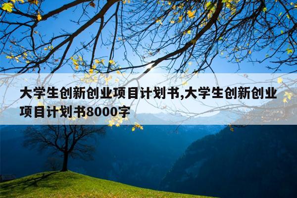 大学生创新创业项目计划书,大学生创新创业项目计划书8000字