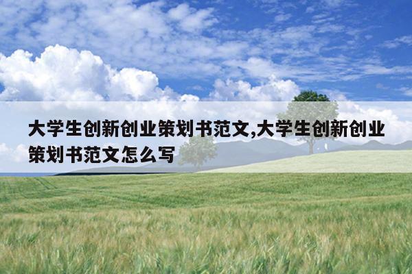 大学生创新创业策划书范文,大学生创新创业策划书范文怎么写