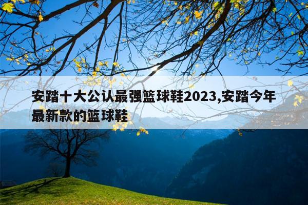 安踏十大公认最强篮球鞋2023,安踏今年最新款的篮球鞋