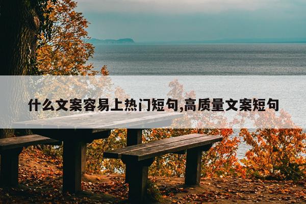 什么文案容易上热门短句,高质量文案短句
