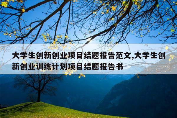 大学生创新创业项目结题报告范文,大学生创新创业训练计划项目结题报告书