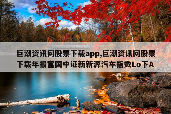 巨潮资讯网股票下载app,巨潮资讯网股票下载年报富国中证新新源汽车指数Lo下A