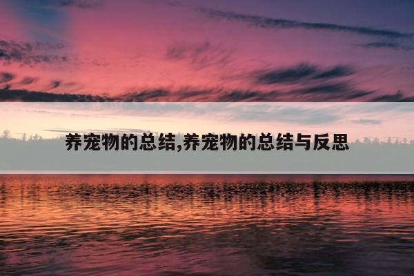 宠物经验心得_宠物心得技能_心得宠物经验分享