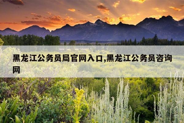 黑龙江公务员局官网入口,黑龙江公务员咨询网
