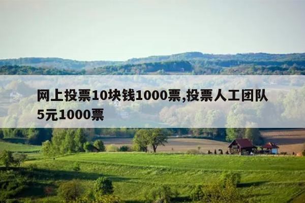 网上投票10块钱1000票,投票人工团队5元1000票