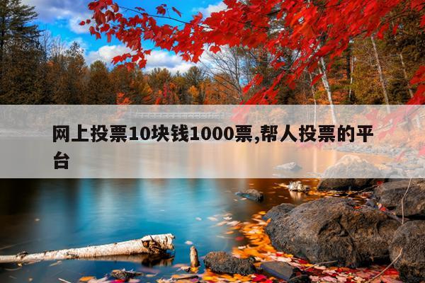 网上投票10块钱1000票,帮人投票的平台