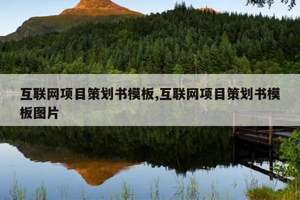 互联网项目策划书模板,互联网项目策划书模板图片