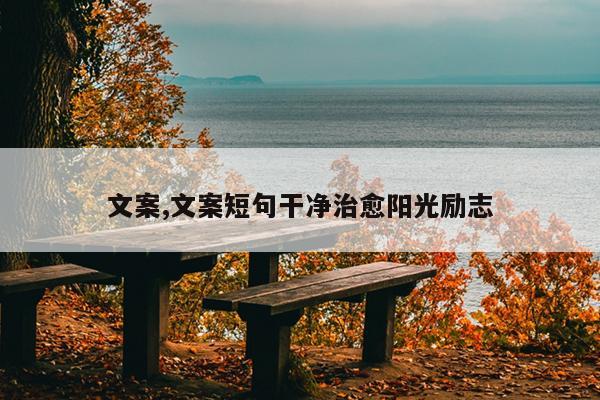 文案,文案短句干净治愈阳光励志