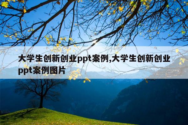 大学生创新创业ppt案例,大学生创新创业ppt案例图片